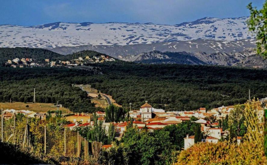 Relax & Home, Apartamento Con Terraza Y Parking La Zubia  Eksteriør bilde